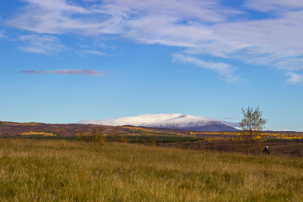 Landschaft beim Geysir