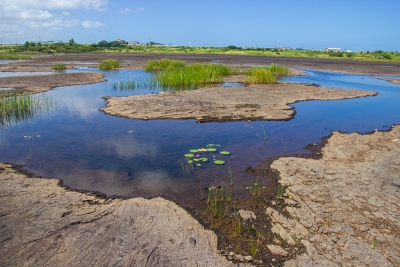 Asphaltsee, La Brea, Trinidad