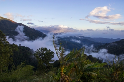 Blue Mountains, Jamaica