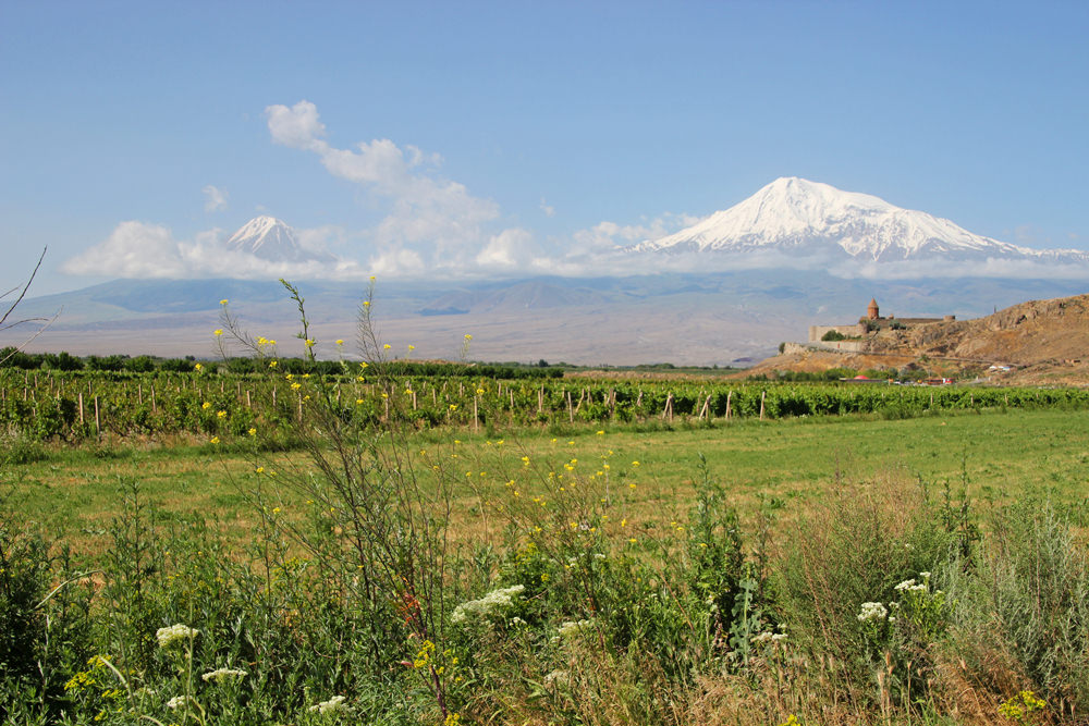 Blick zum Ararat, Armenien