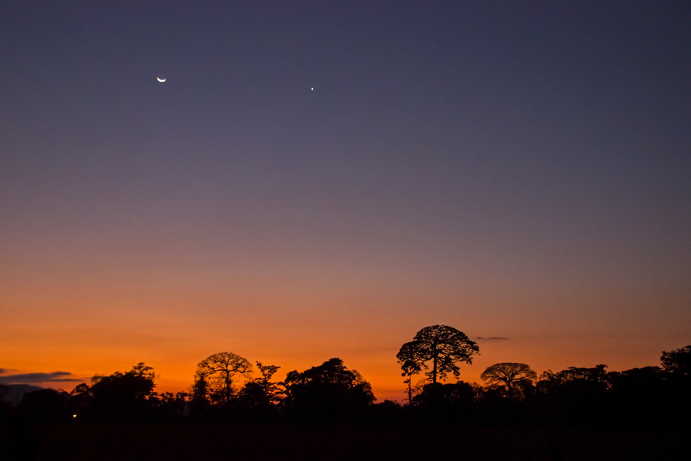 tropische Nacht, Parque Corcovado, Costa Rica