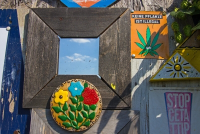 Pflanzen und Spiegel, Tempelhofer Feld, Berlin